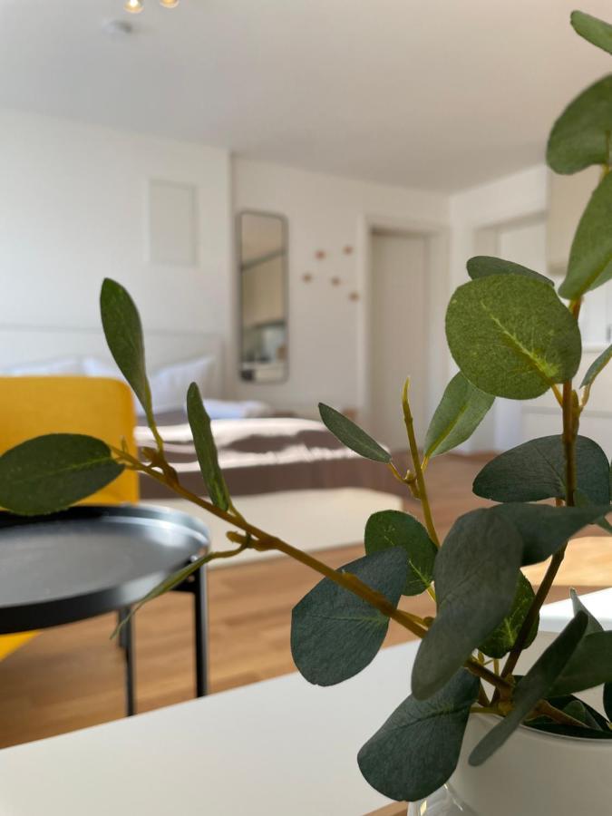 شقة Hohenweiler  في Maurer Haus المظهر الخارجي الصورة